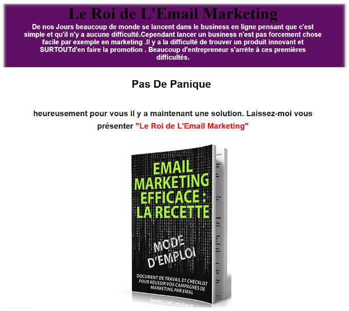  Le roi de L'Email Marketing